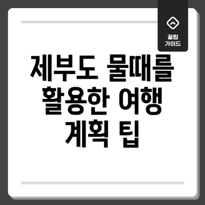 제부도 물때를 활용한 여행 계획 팁