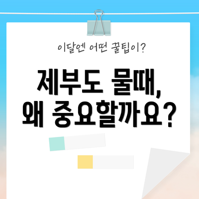 제부도 물때, 왜 중요할까요?