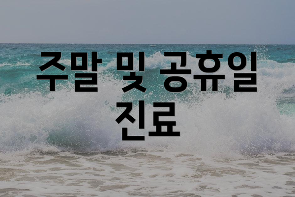 주말 및 공휴일 진료