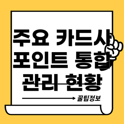 주요 카드사 포인트 통합 관리 현황