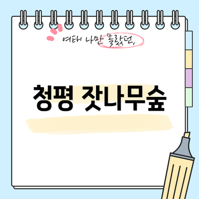청평 잣나무숲