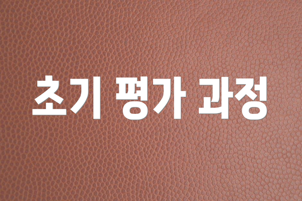 초기 평가 과정