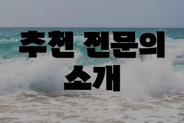 추천 전문의 소개