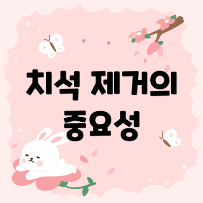 치석 제거의 중요성