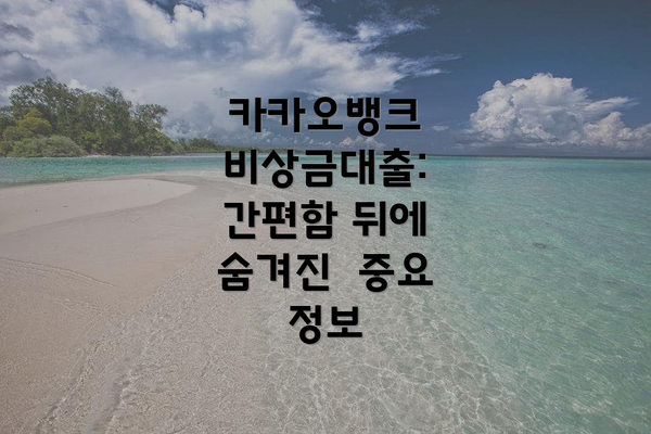 카카오뱅크 비상금대출: 간편함 뒤에 숨겨진  중요 정보