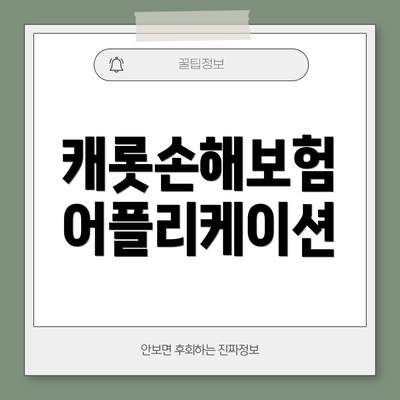 캐롯손해보험 어플리케이션