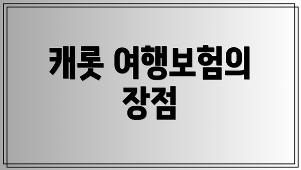 캐롯 여행보험의 장점