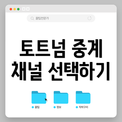 토트넘 중계 채널 선택하기
