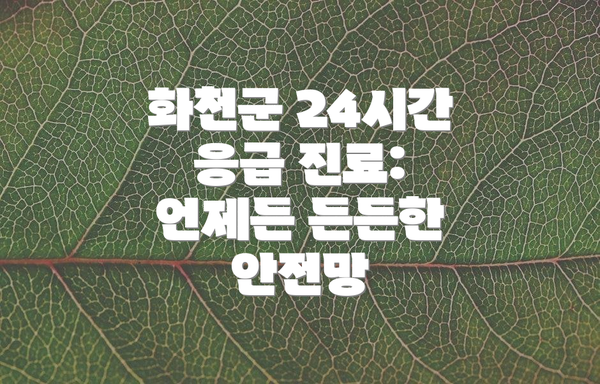 화천군 24시간 응급 진료:  언제든 든든한 안전망