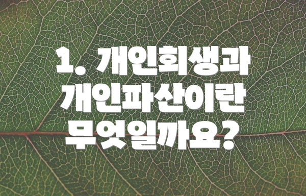 1. 개인회생과 개인파산이란 무엇일까요?