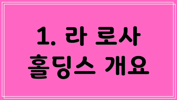 1. 라 로사 홀딩스 개요