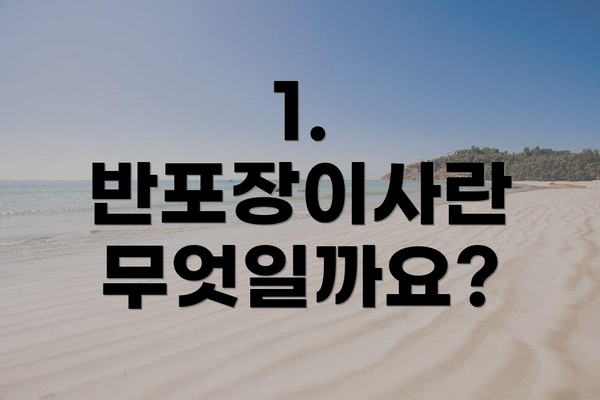 1. 반포장이사란 무엇일까요?