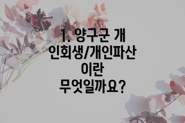 1. 양구군 개인회생/개인파산이란 무엇일까요?