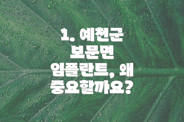 1. 예천군 보문면 임플란트, 왜 중요할까요?