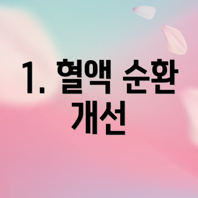 1. 혈액 순환 개선