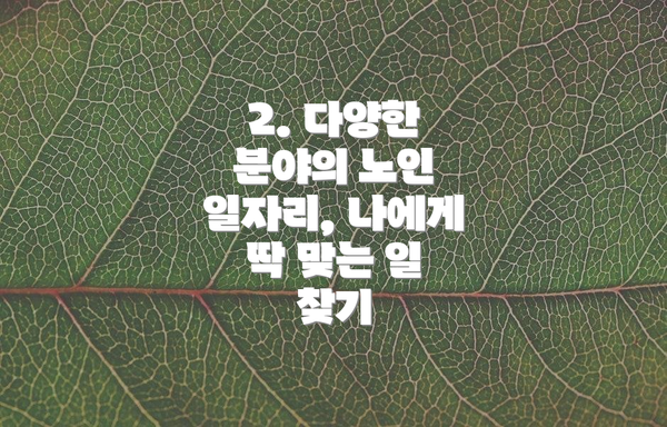 2. 다양한 분야의 노인 일자리, 나에게 딱 맞는 일 찾기