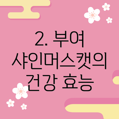 2. 부여 샤인머스캣의 건강 효능