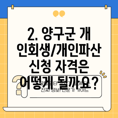 2. 양구군 개인회생/개인파산 신청 자격은 어떻게 될까요?