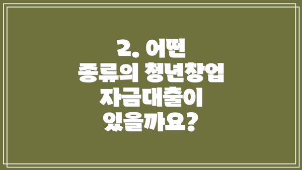 2. 어떤 종류의 청년창업자금대출이 있을까요?