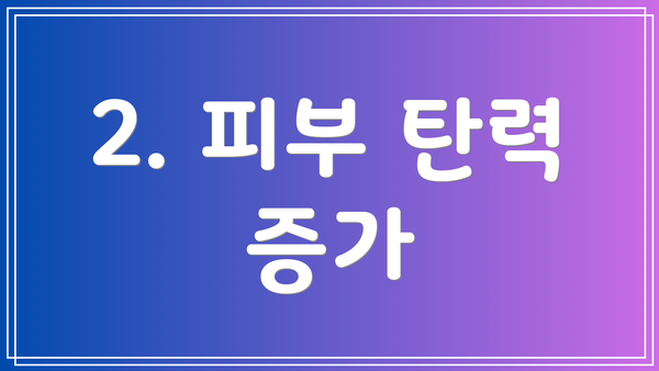 2. 피부 탄력 증가
