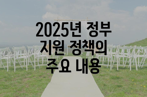 2025년 정부 지원 정책의 주요 내용