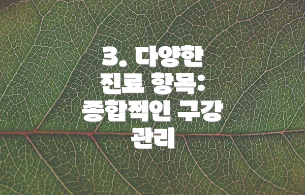 3. 다양한 진료 항목: 종합적인 구강 관리