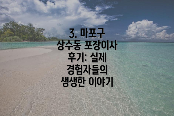 3. 마포구 상수동 포장이사 후기: 실제 경험자들의 생생한 이야기