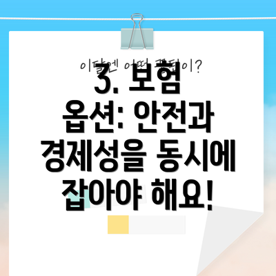 3. 보험 옵션: 안전과 경제성을 동시에 잡아야 해요!