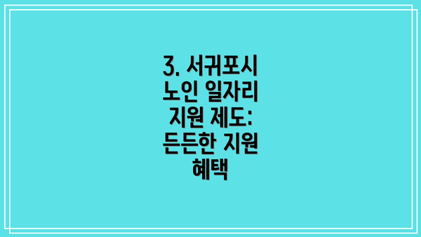3. 서귀포시 노인 일자리 지원 제도: 든든한 지원 혜택