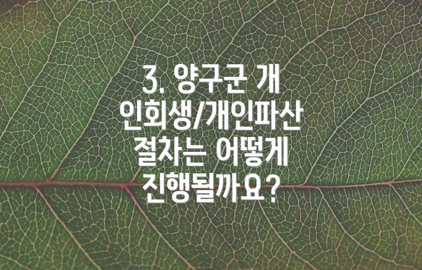 3. 양구군 개인회생/개인파산 절차는 어떻게 진행될까요?