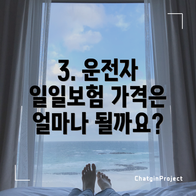 3. 운전자 일일보험 가격은 얼마나 될까요?