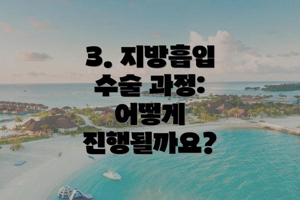 3. 지방흡입 수술 과정: 어떻게 진행될까요?