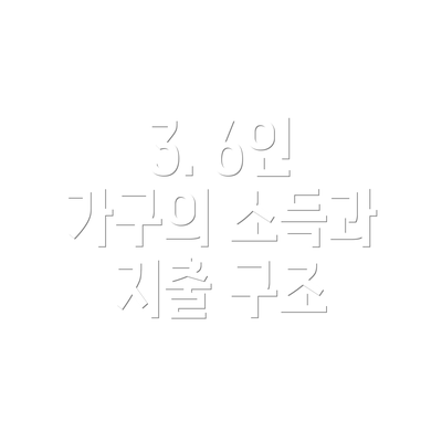 3. 6인 가구의 소득과 지출 구조