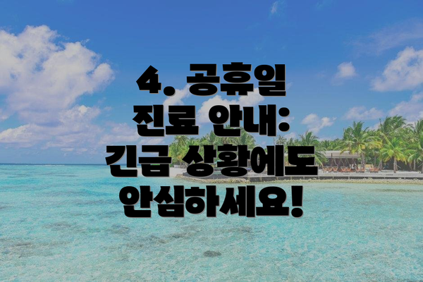 4. 공휴일 진료 안내: 긴급 상황에도 안심하세요!