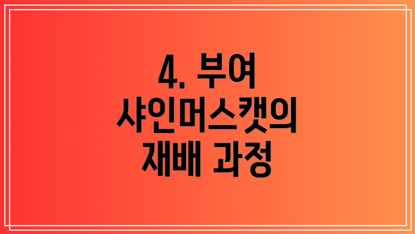 4. 부여 샤인머스캣의 재배 과정