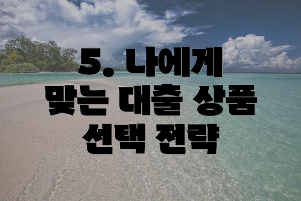 5. 나에게 맞는 대출 상품 선택 전략