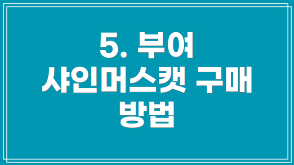 5. 부여 샤인머스캣 구매 방법