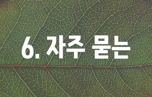 6. 자주 묻는