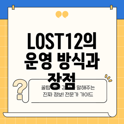 LOST12의 운영 방식과 장점