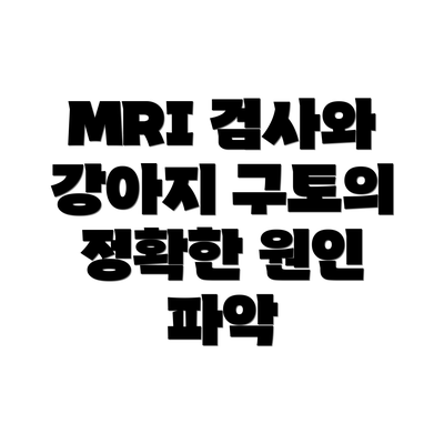 MRI 검사와 강아지 구토의 정확한 원인 파악
