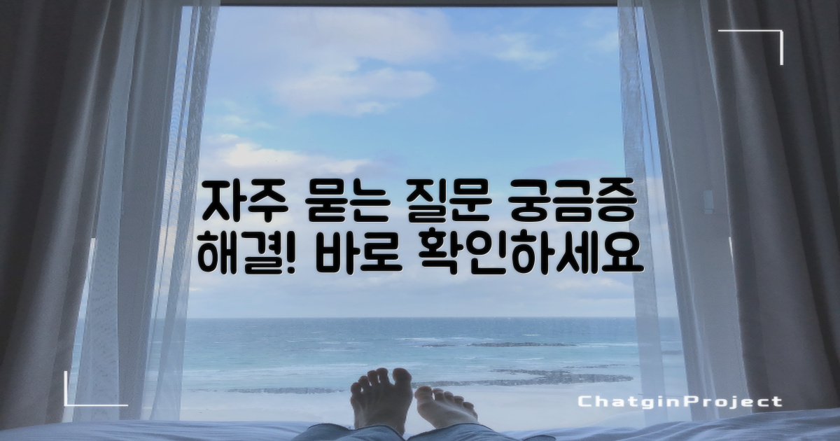 자주 묻는 질문